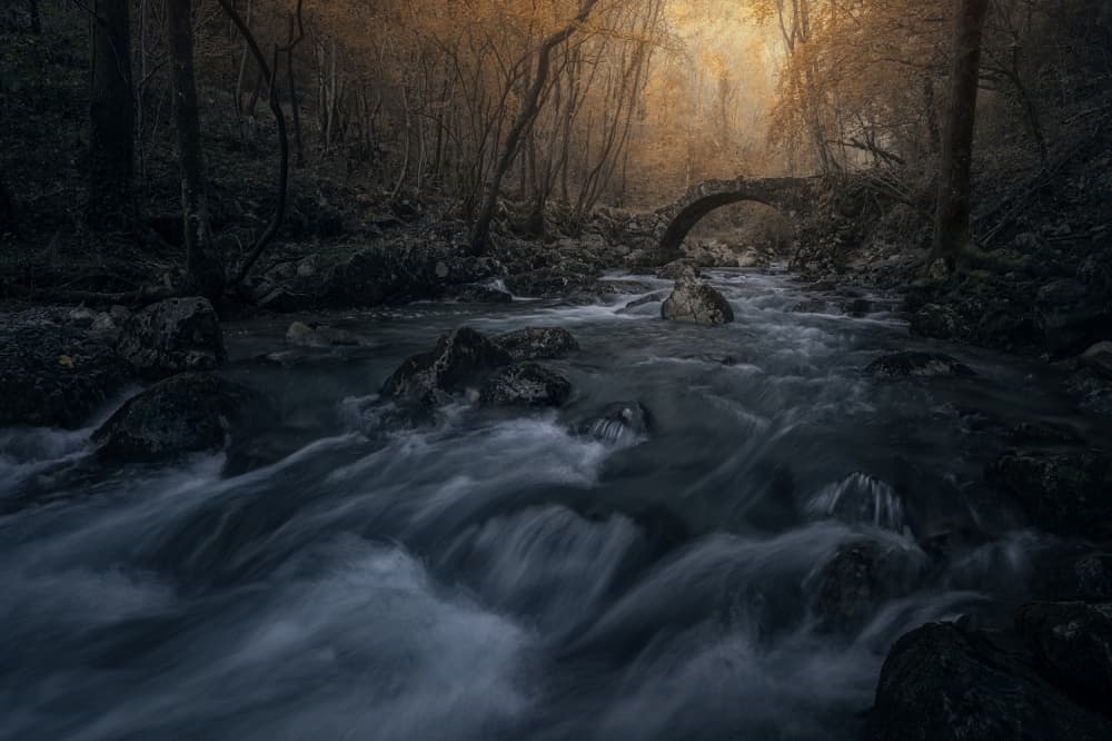 Golden Light Forest Bridge by Thomas de Franzoni — canvas wall art