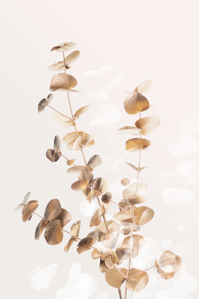 Golden Eucalyptus Branches by Pictufy Studio III — canvas wall art