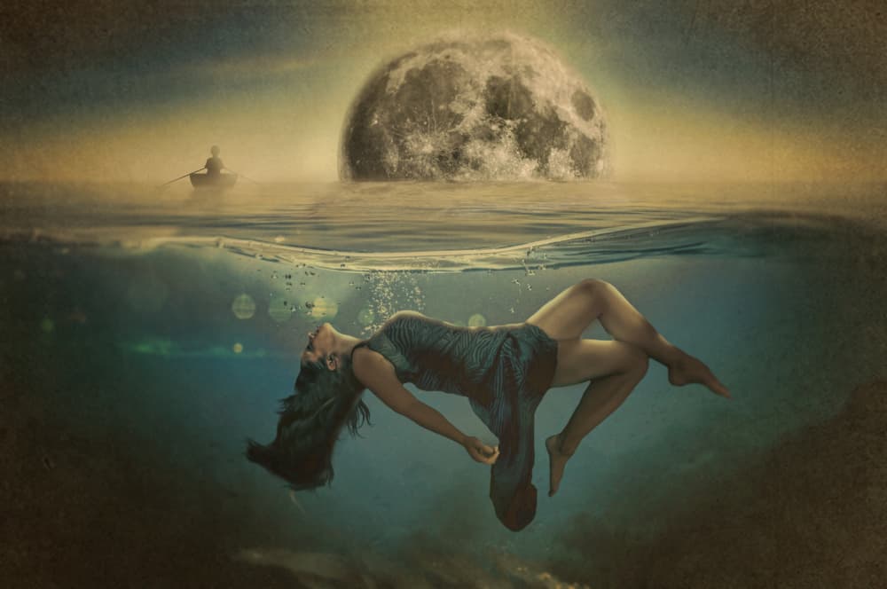 Lost by Peeters Jos — canvas wall art