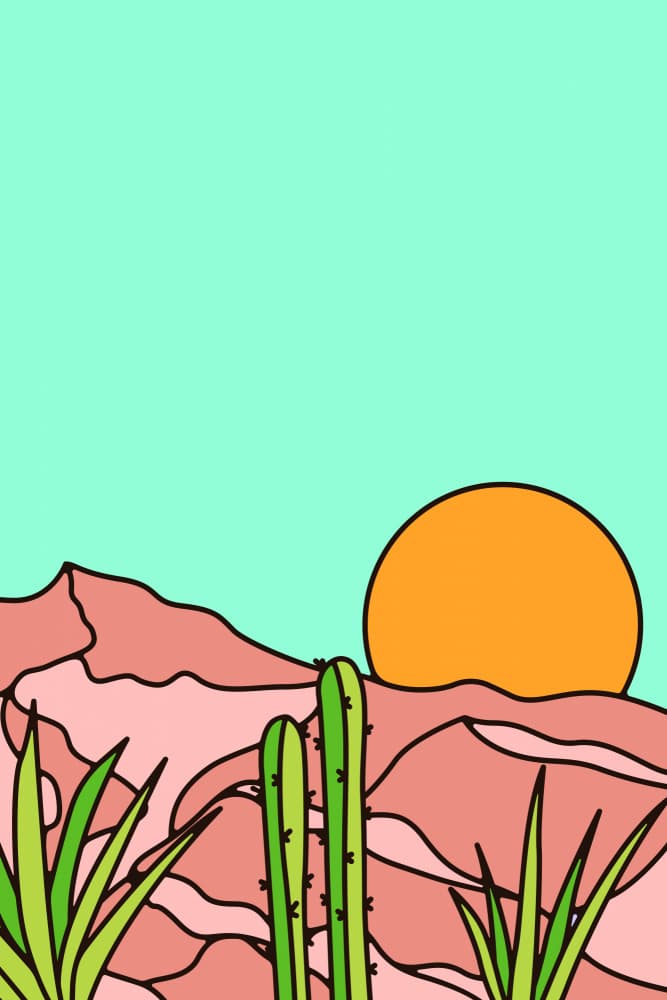 Desert Sunset Cactus by jay stanley — canvas wall art