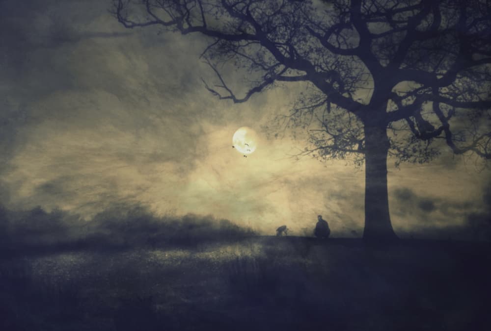 Moonlit Tree Solitude by Robert Fabrowski — canvas wall art