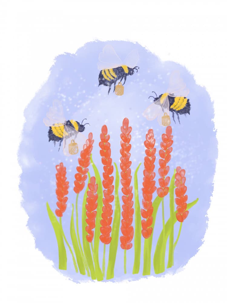 Honey Bees and Flowers by Aliya Putrus — canvas wall art