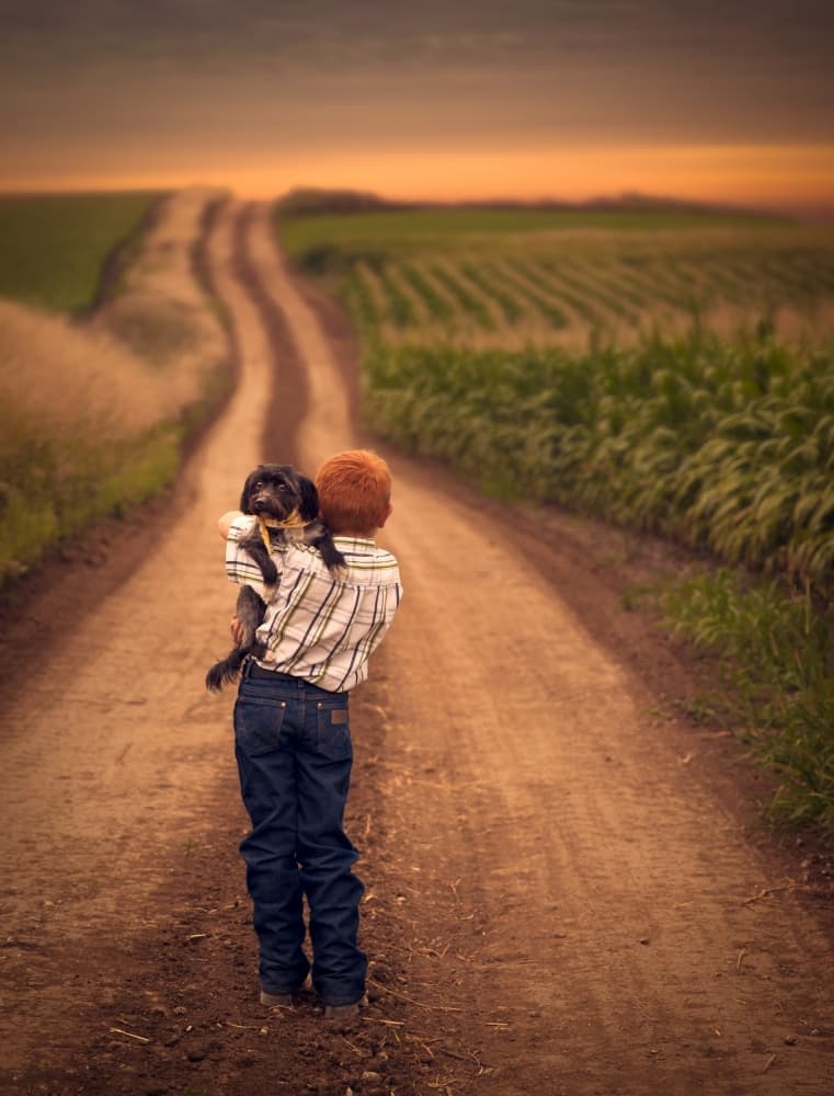 Boy Dog Country Road by Jake Olson — canvas wall art