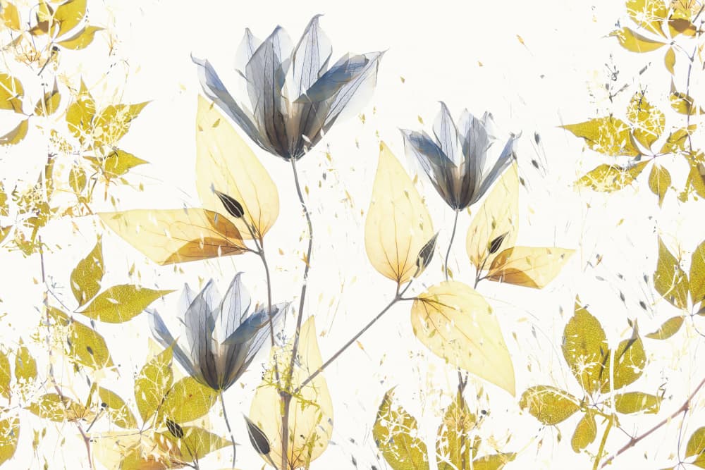 Spring vibe by Nel Talen — canvas wall art