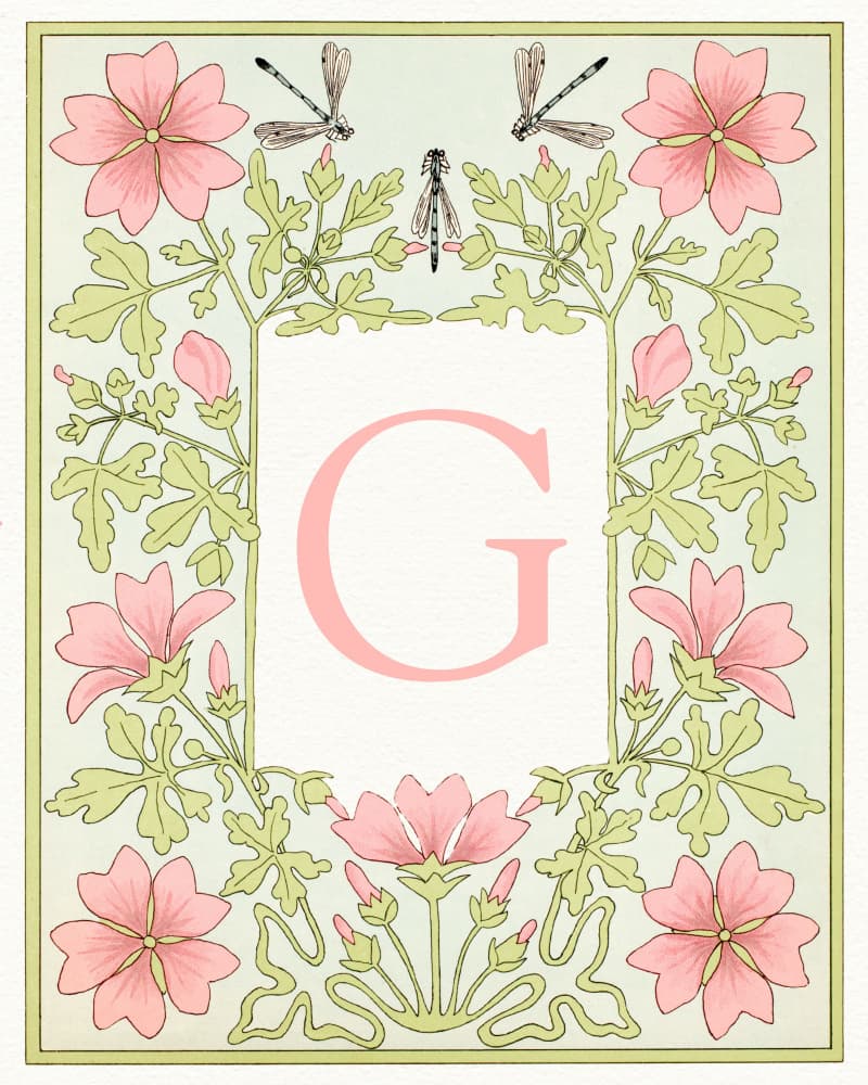 Elegant Pink Floral G by Wild Violets — canvas wall art