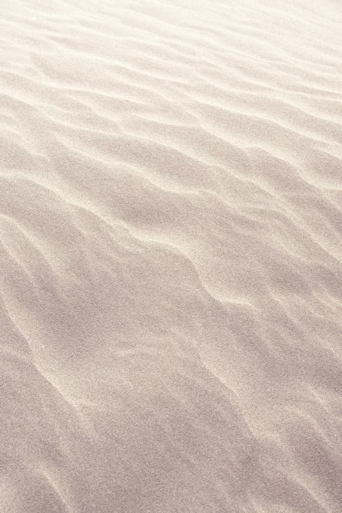 Serene Sand Ripples