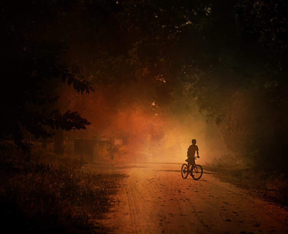 Golden Path Rider by Rachel Pansky — canvas wall art