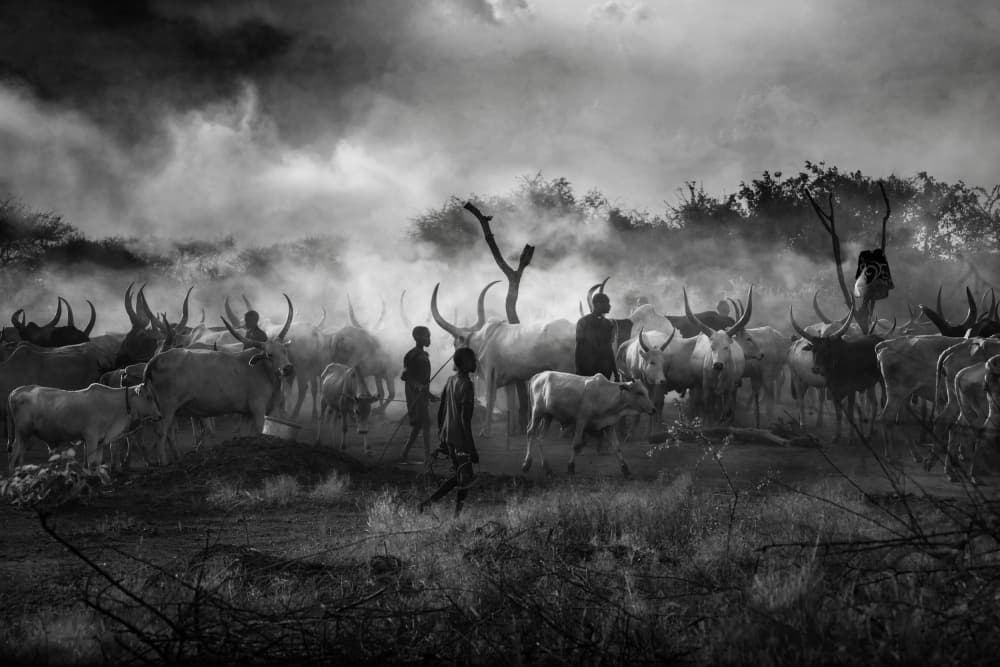 African Cattle Herders by Svetlin Yosifov — canvas wall art