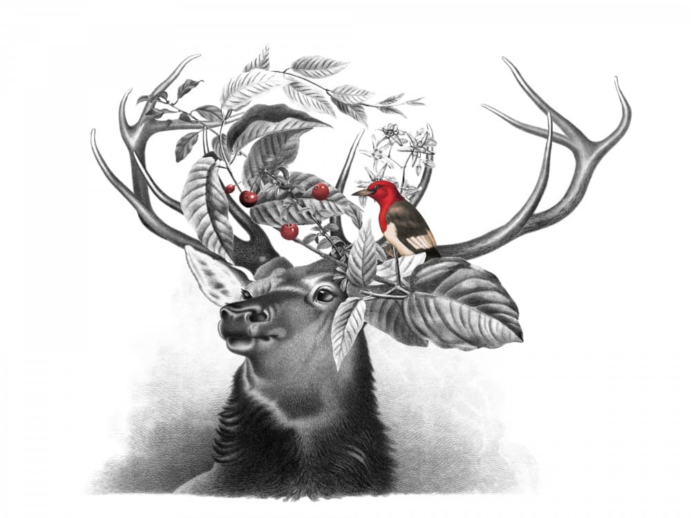 Wild Stag Red Bird by Marja van den Hurk — canvas wall art