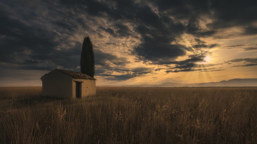 Lone House Golden Field by Paco Jimenez — canvas wall art