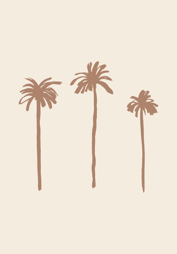 Palms by Pictufy — canvas wall art