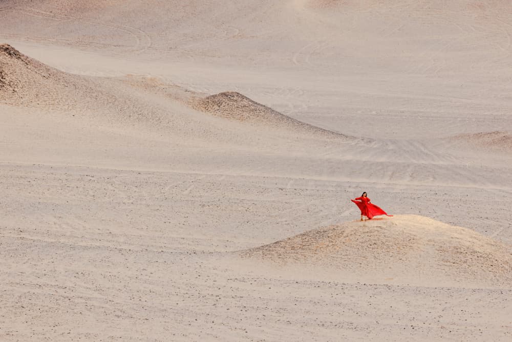 Solitary Red Dress by Jie Jin — canvas wall art