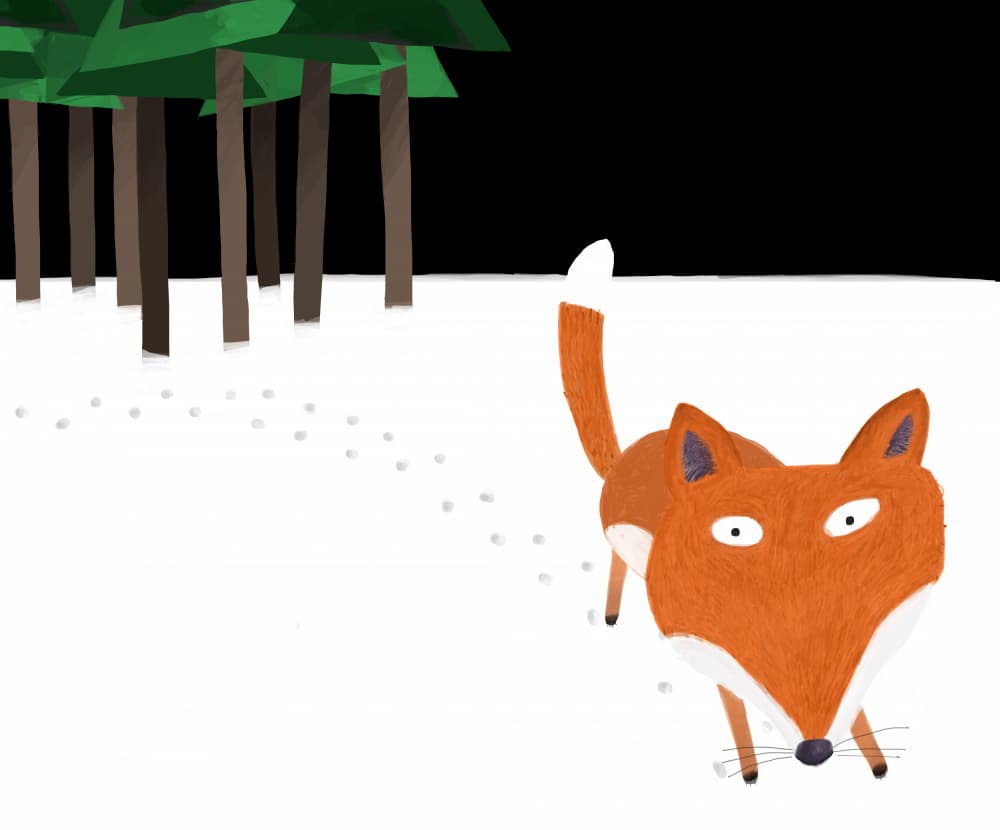 Curious Winter Fox by Carla Daly — canvas wall art