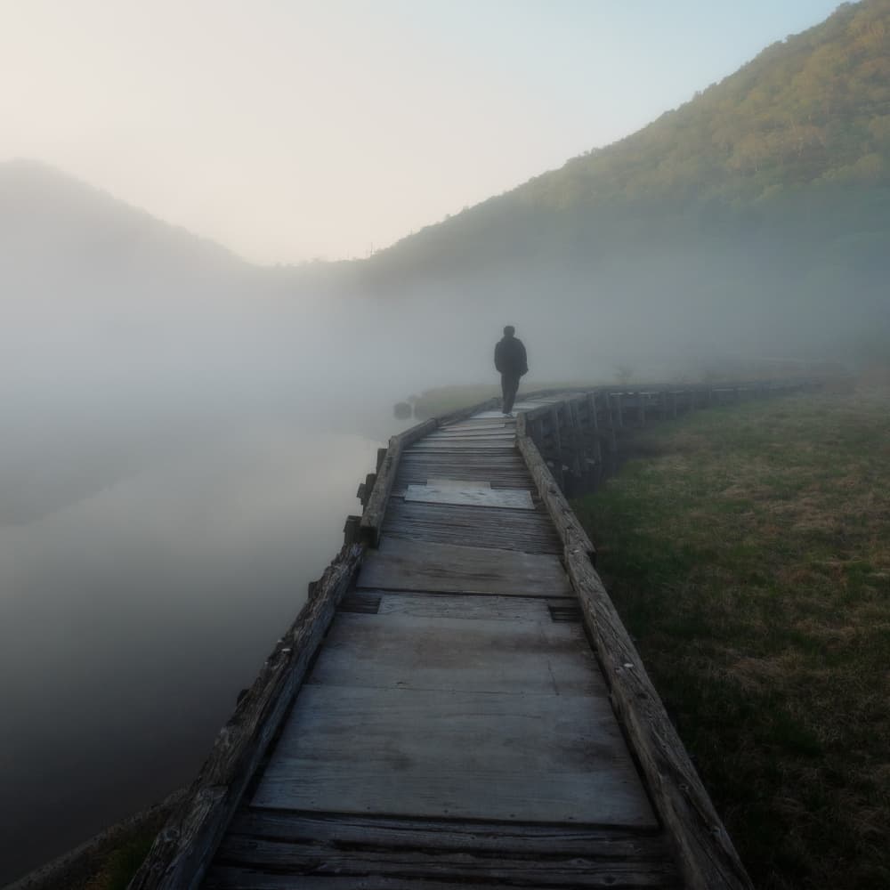 Misty Path Walk by K_Tsunoda — canvas wall art
