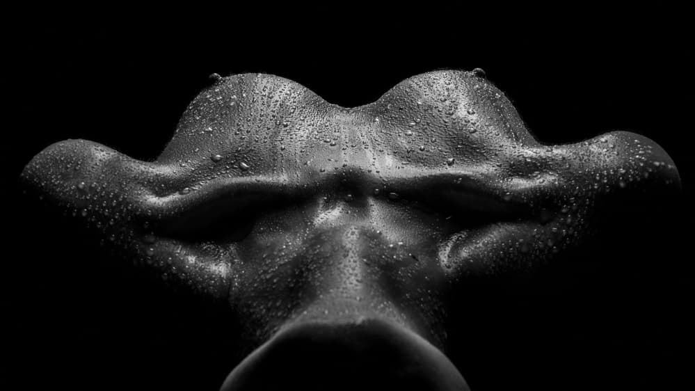Wet Skin Curves by AURIMAS VALEVICIUS — canvas wall art