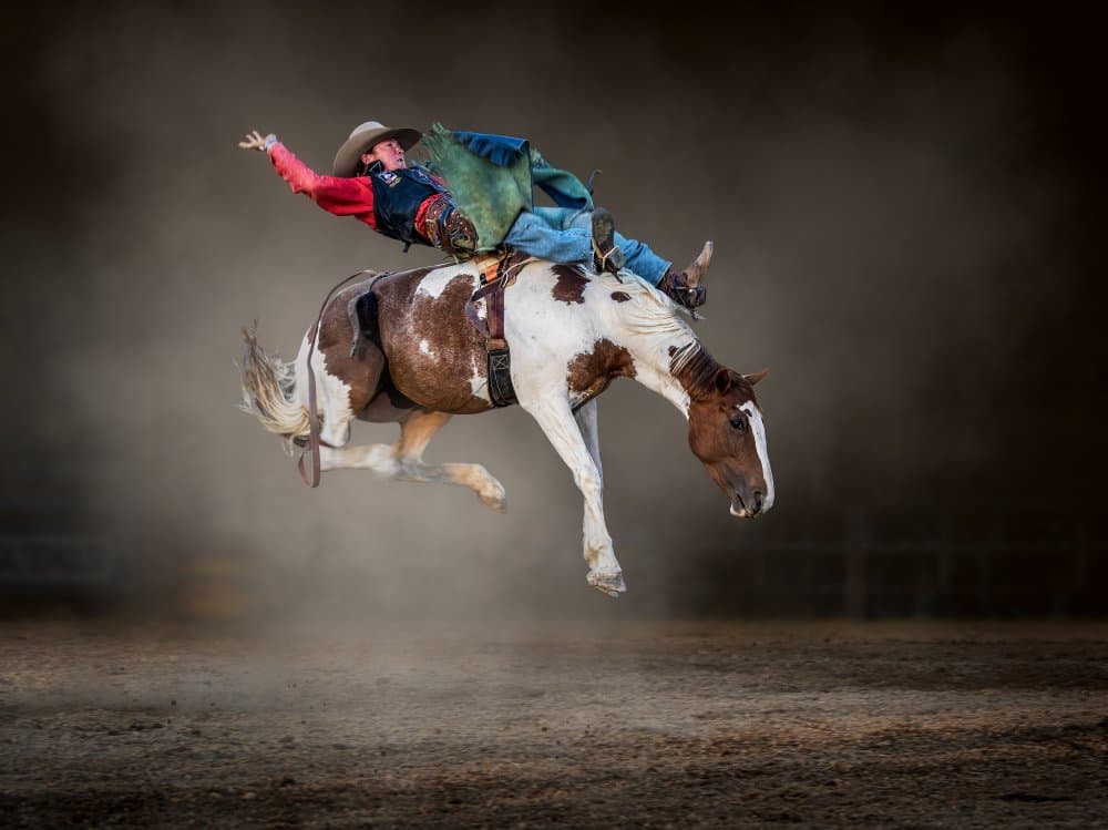 Rodeo Cowboy Bronc Ride by Frank Ma — canvas wall art