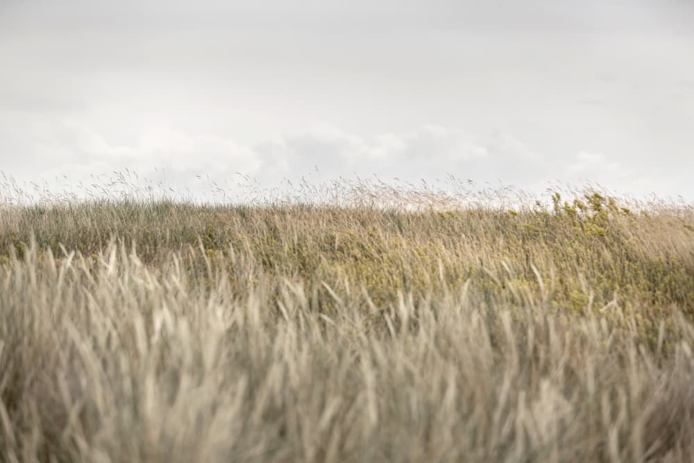 Dunes and Clouds 2 by Mareike Böhmer — canvas wall art
