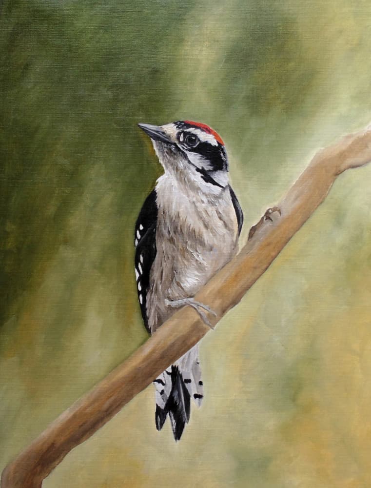 Male Woodpecker Perched by Angeles M. Pomata — canvas wall art