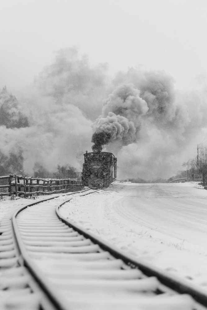Winter Steam Train by Marina Sveduneac — canvas wall art