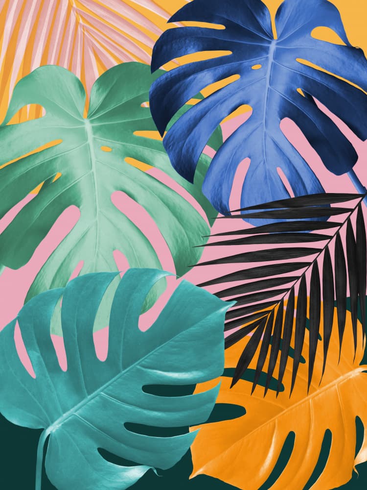 Vibrant Tropical Leaves by Vitor Costa — canvas wall art