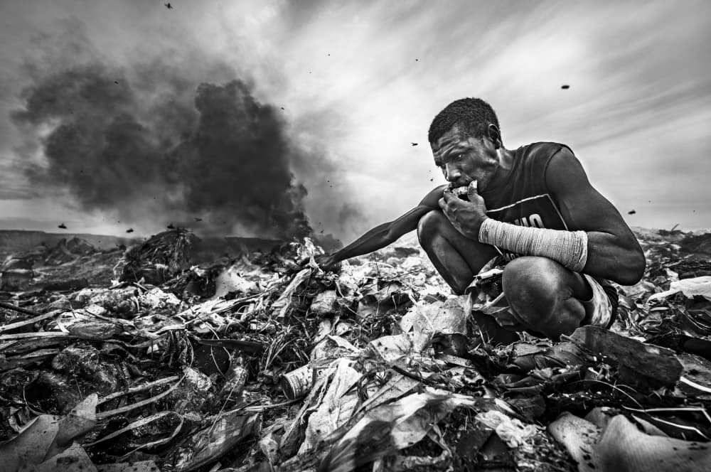 Burning Trash Scavenger by João Coelho — canvas wall art