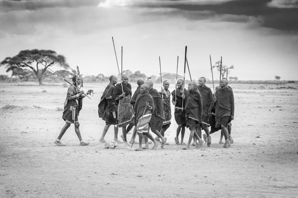 Maasai Warriors Journey by Jeffrey C. Sink — canvas wall art