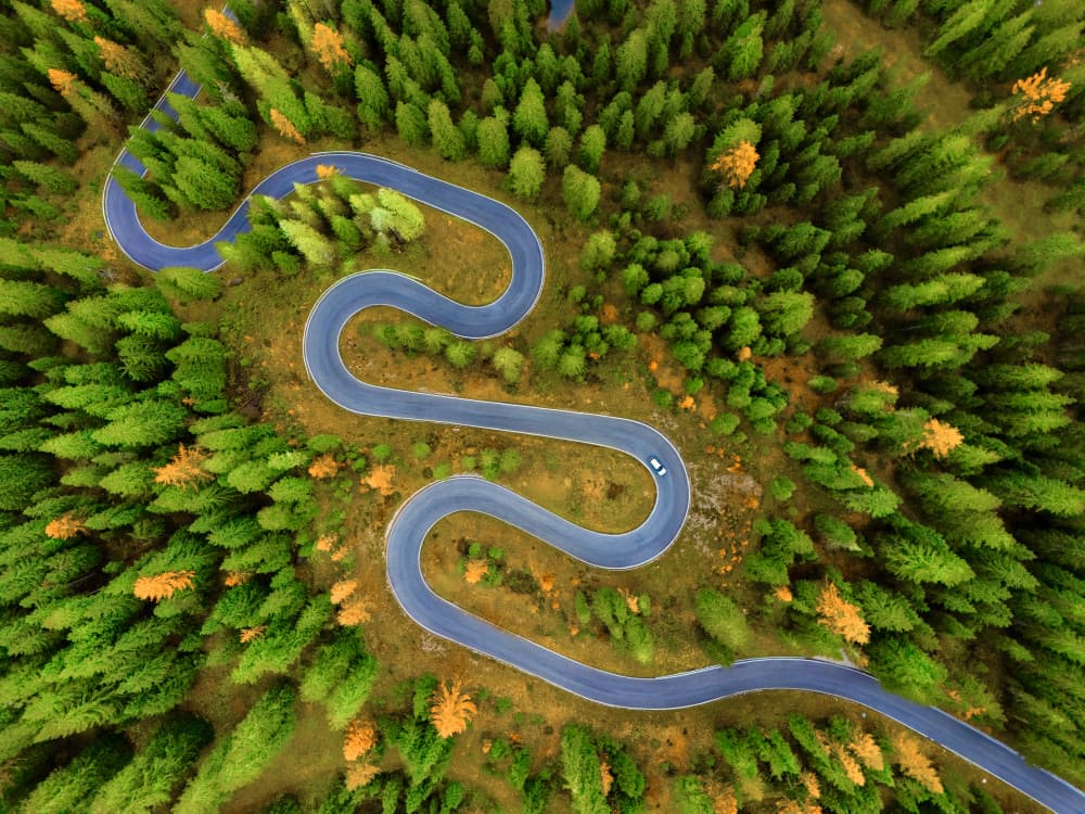 Winding Forest Road by Chuan Chen APA — canvas wall art
