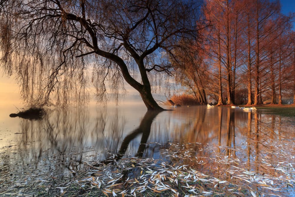 Misty Lake Reflections by Alessandro Bergamin — canvas wall art