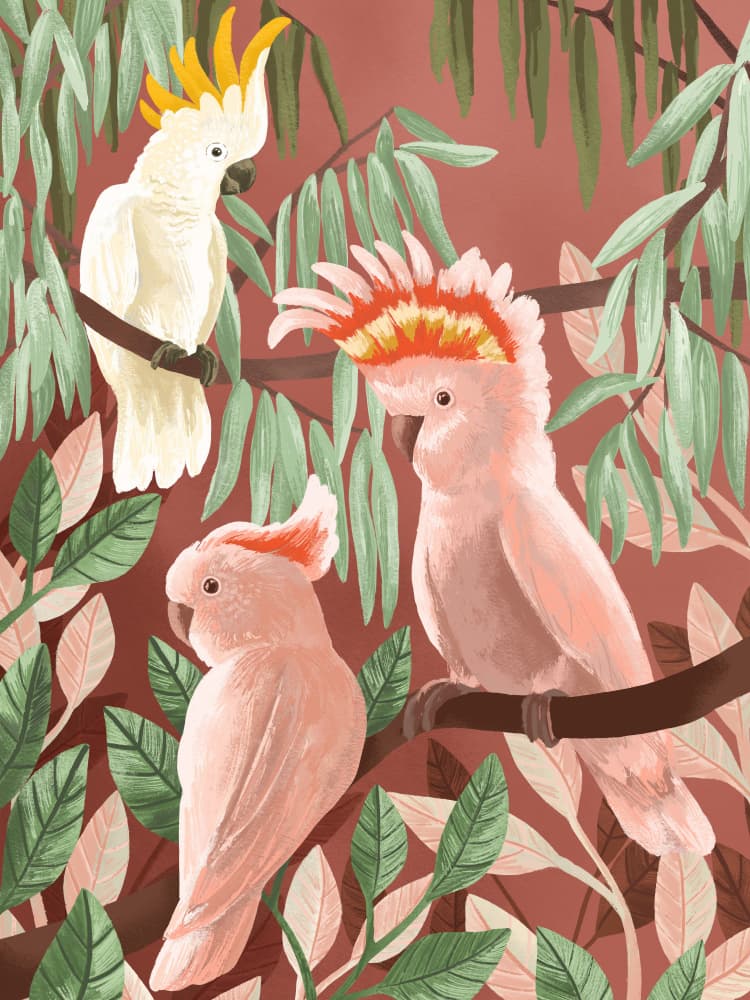 Cockatoos by Goed Blauw — canvas wall art