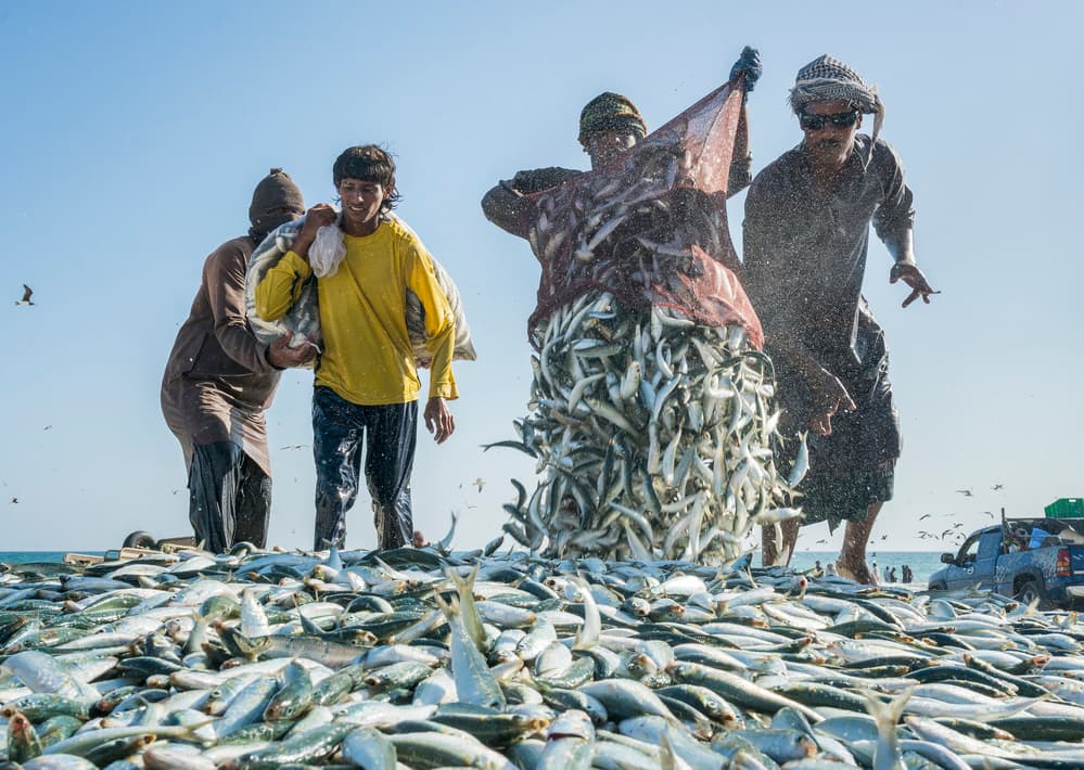Fresh Ocean Haul by Haitham AL Farsi — canvas wall art