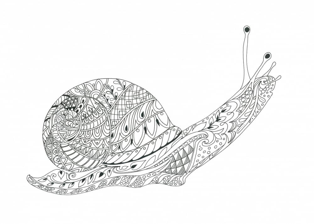 Whimsical Snail Maze