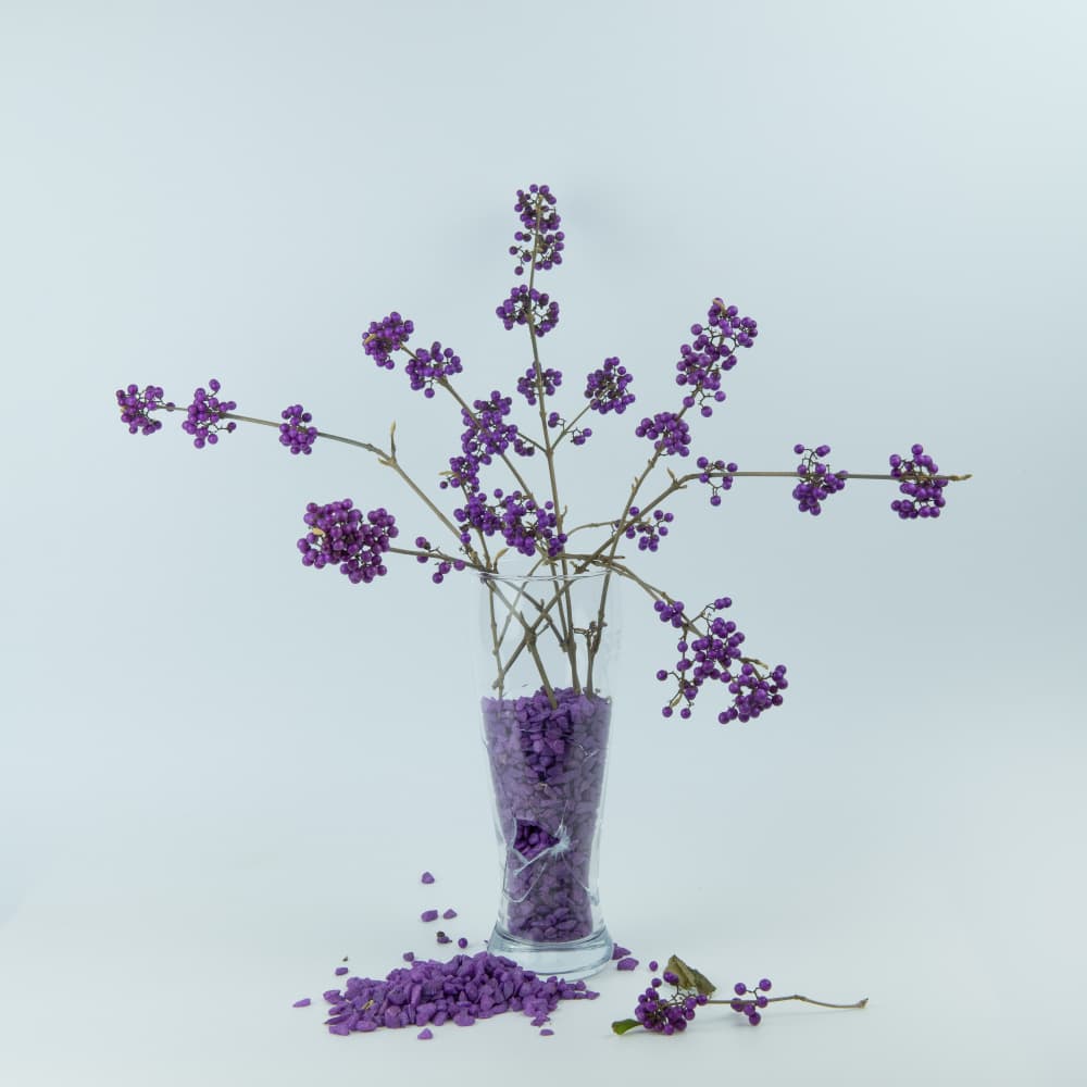 Purple Berry Branches by FranzStaab — canvas wall art