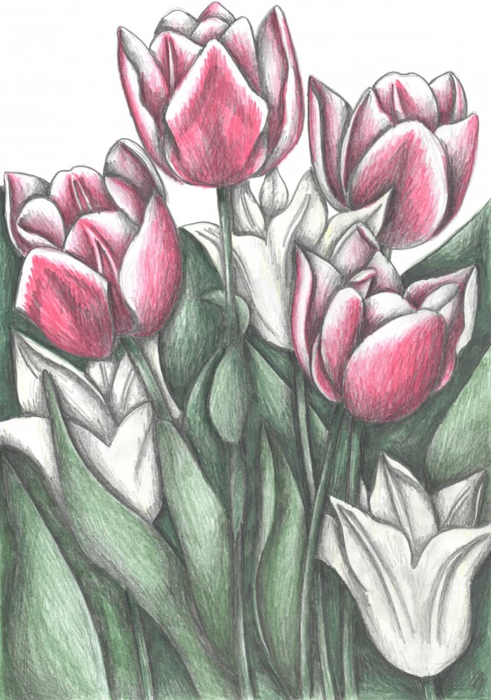 Vibrant Spring Tulips by Cecilia Battaini — canvas wall art