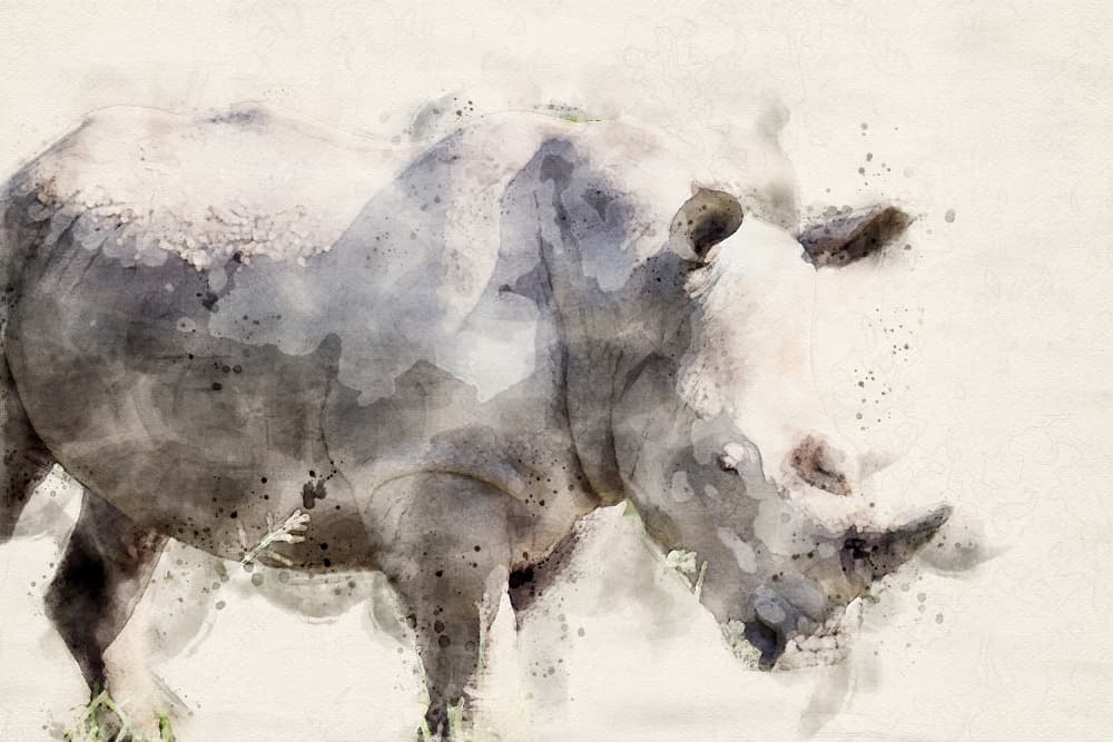 Graceful Watercolor Rhino by Arno Du Toit — canvas wall art