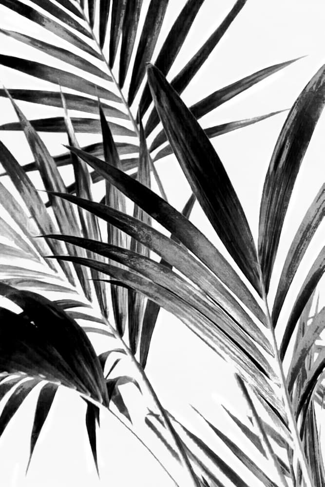 Dark Tropical Leaves by amini54 — canvas wall art