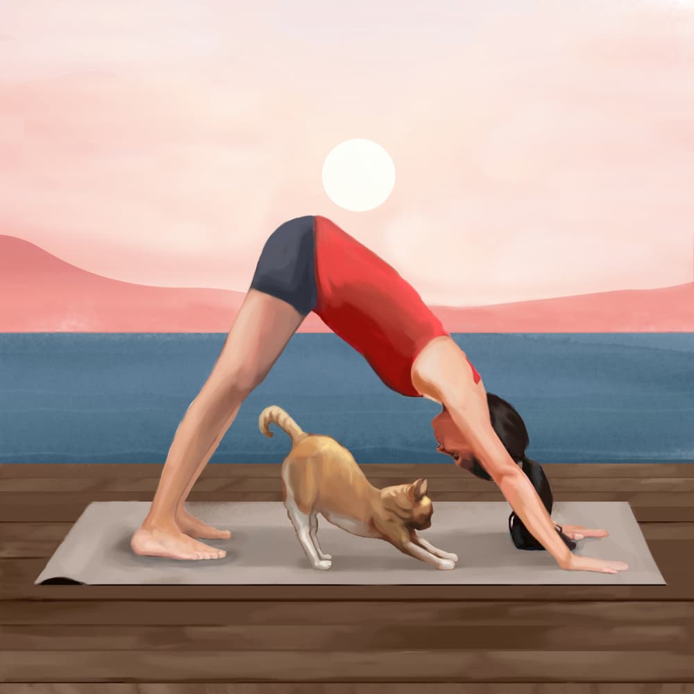 Sunrise Yoga Cat by Flow Line — canvas wall art