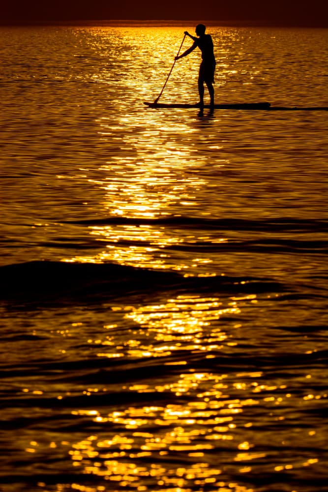 Golden Sunset Paddleboarder by Tal Paz-Fridman — canvas wall art