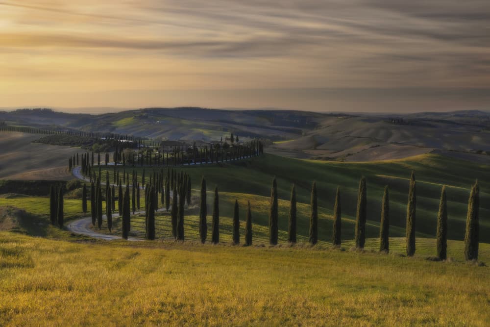 Winding Tuscan Landscape by Dorian Gray — canvas wall art