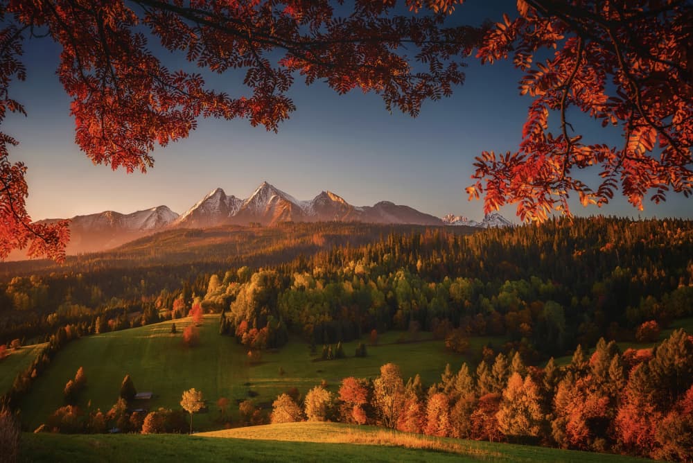 Vibrant Fall Mountain Landscape by TomaszOryszczakPhotography — canvas wall art