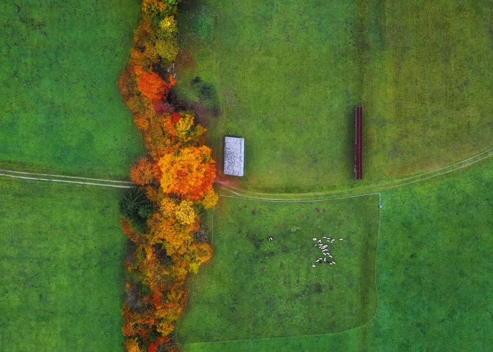 Vibrant Autumn Countryside by Ales Krivec — canvas wall art
