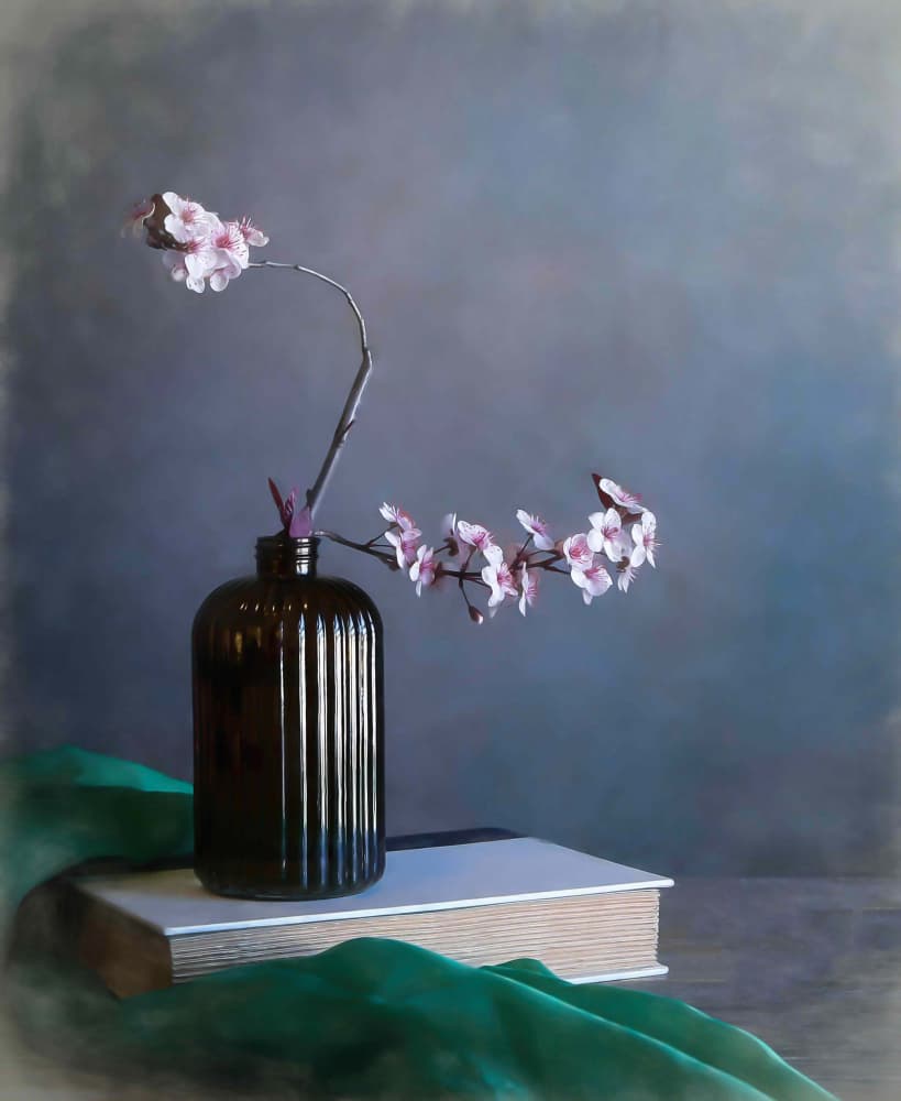 Delicate Spring Blossoms by Fangping Zhou — canvas wall art