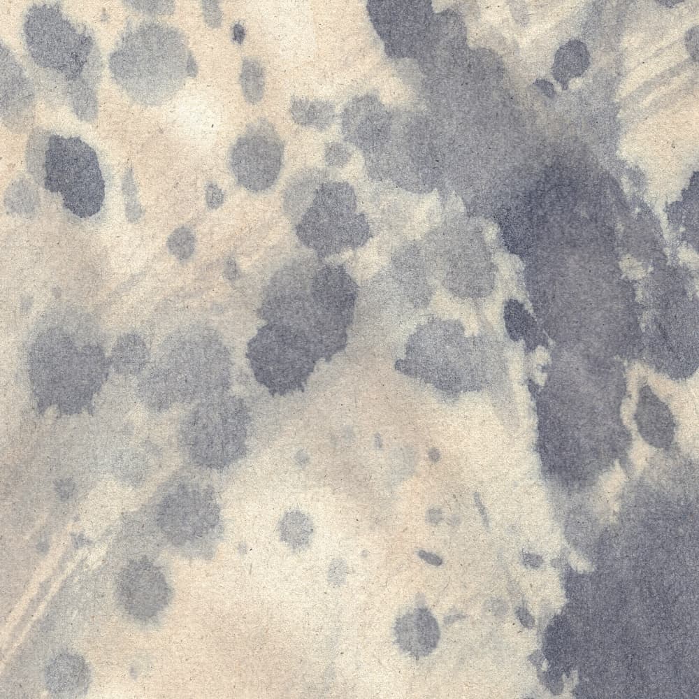 Muted Ink Splatters by Dina Dankers — canvas wall art