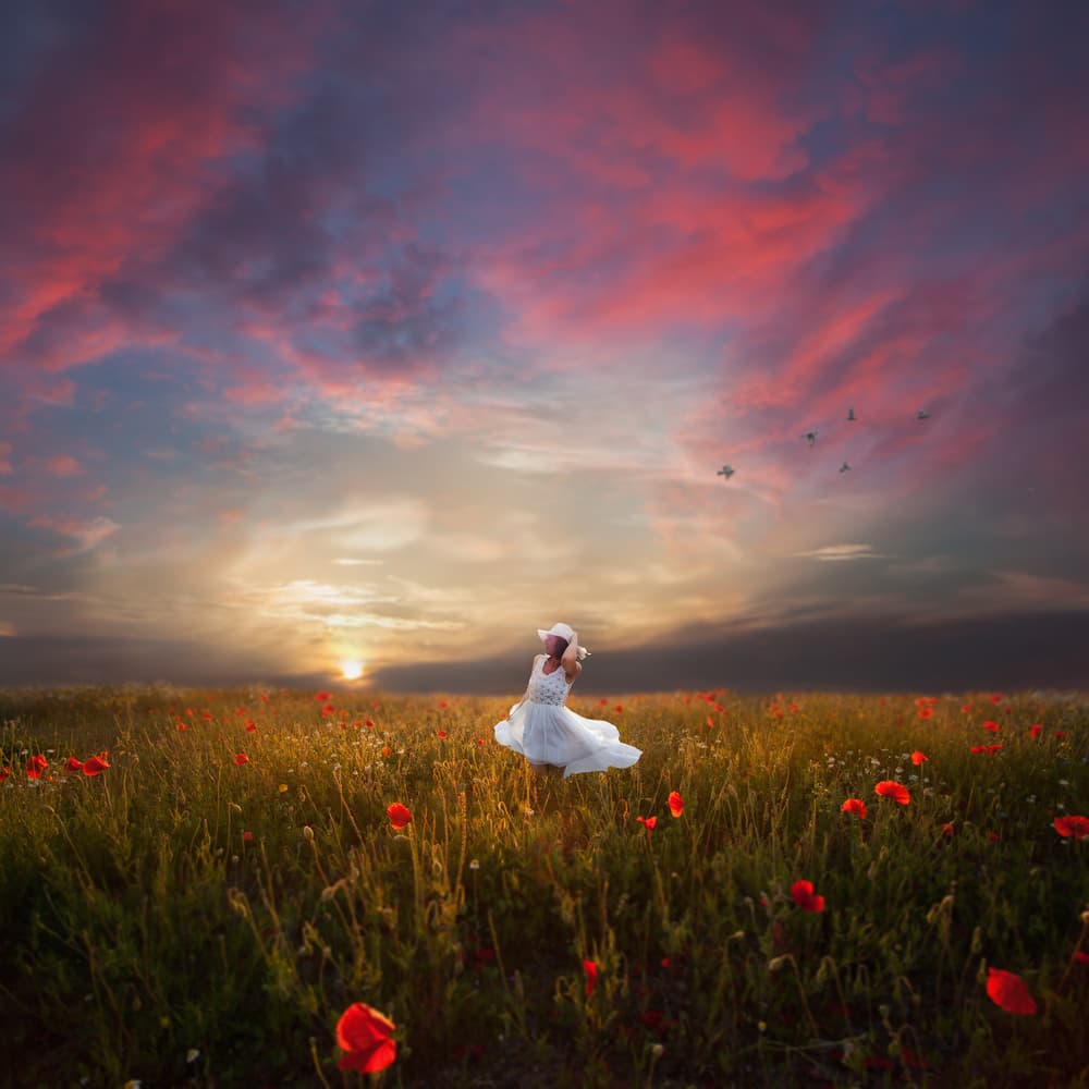 The Last Summer Rays by Martin Marcisovsky — canvas wall art