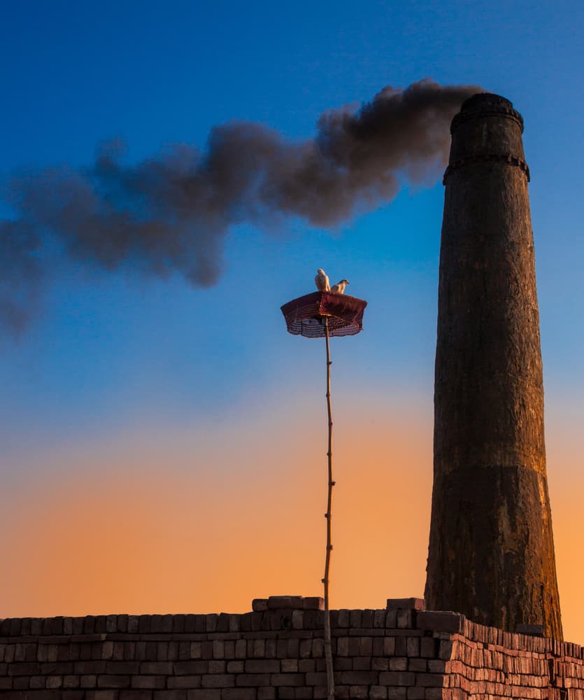 Storks and Smoke by Sayyed Nayyer Reza — canvas wall art