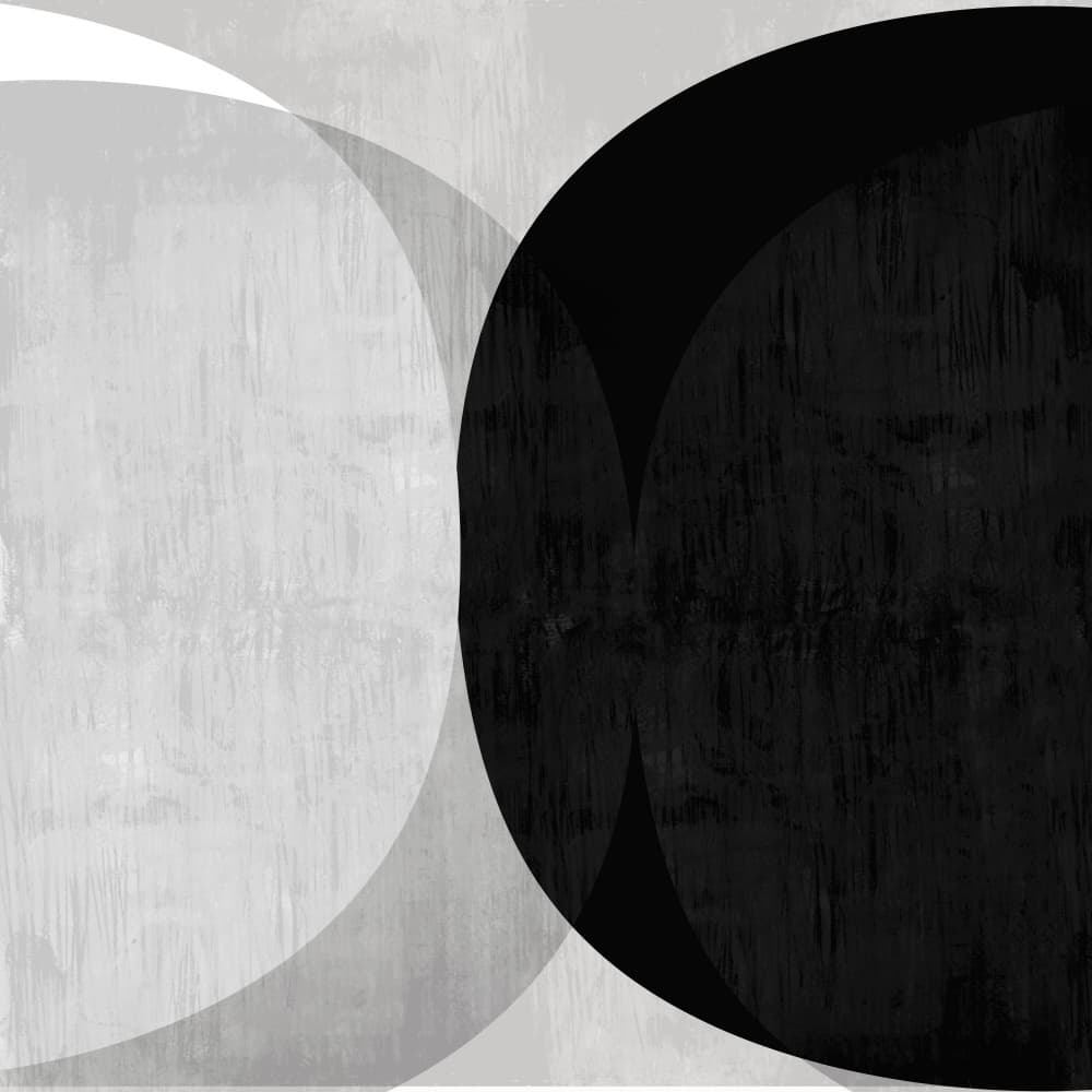 Abstract Black White Curves by cartissi — canvas wall art