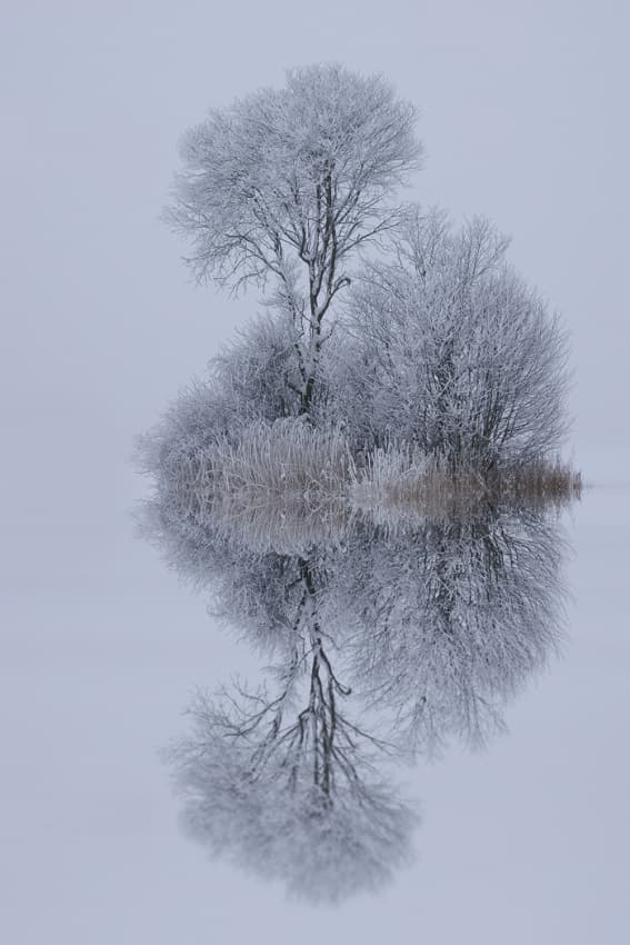Frosted Winter Reflection by Norbert Maier — canvas wall art