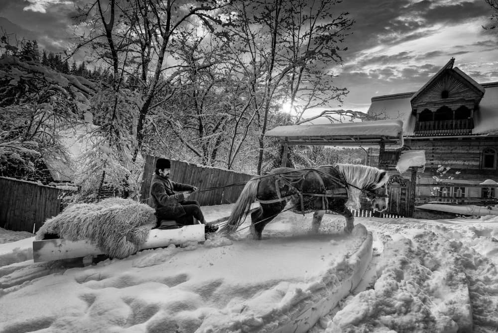 Winter Sleigh Ride by Grigore Roibu — canvas wall art