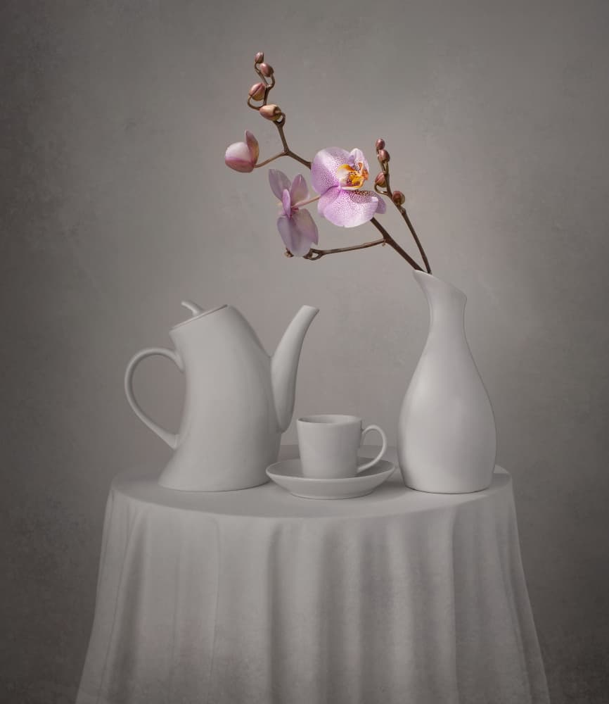 Pink Orchid Tea Time by Margareth Perfoncio — canvas wall art