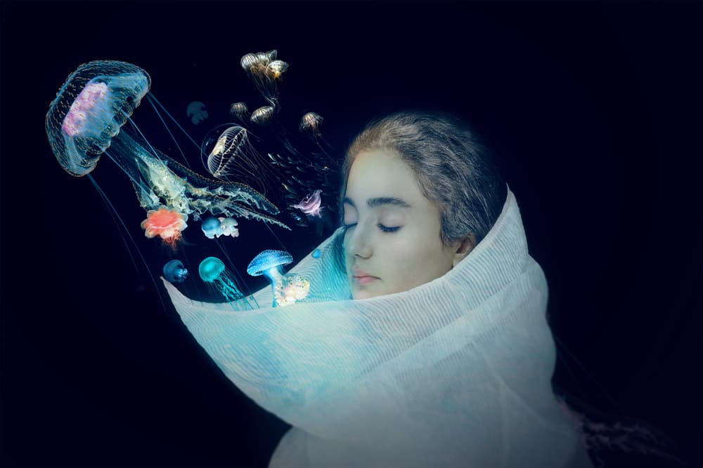 Jellyfish Dreamscape by Parsa Bagheri — canvas wall art