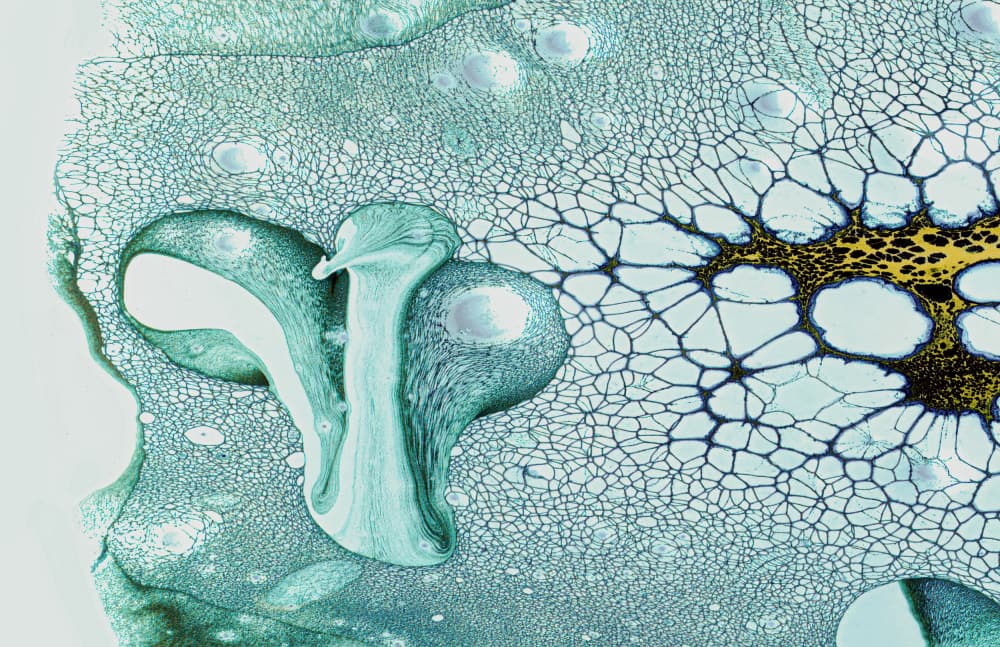 Fluid Teal Gold Abstract by Tommy Armstrong — canvas wall art